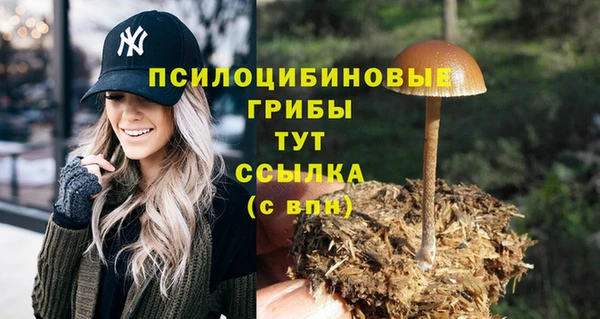 спайс Дмитриев