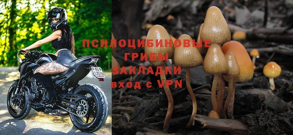 мдпв Дмитровск