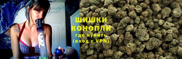 мдпв Дмитровск