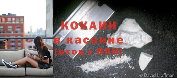 спайс Дмитриев